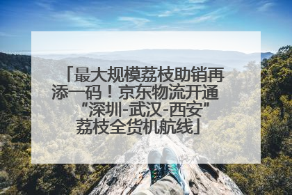 最大规模荔枝助销再添一码！京东物流开通“深圳-武汉-西安” 荔枝全货机航线