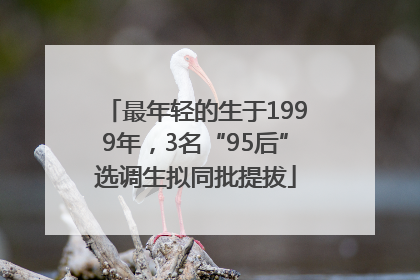最年轻的生于1999年，3名“95后”选调生拟同批提拔