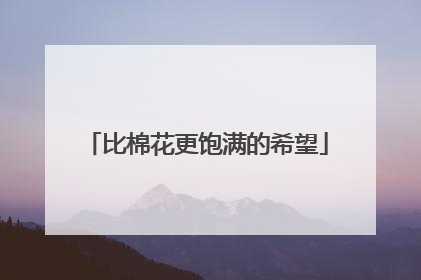比棉花更饱满的希望