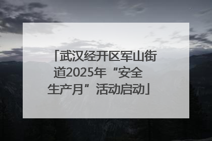 武汉经开区军山街道2025年“安全生产月”活动启动