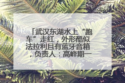 武汉东湖水上“跑车”走红，外形酷似法拉利且有蓝牙音箱，负责人：高峰期一两百人排队