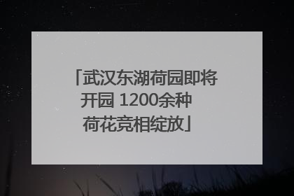 武汉东湖荷园即将开园 1200余种荷花竞相绽放