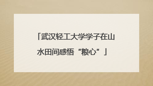武汉轻工大学学子在山水田间感悟“粮心”