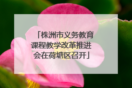 株洲市义务教育课程教学改革推进会在荷塘区召开