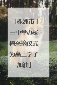 株洲市十三中举办杨梅采摘仪式为高三学子加油