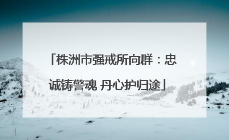 株洲市强戒所向群：忠诚铸警魂 丹心护归途