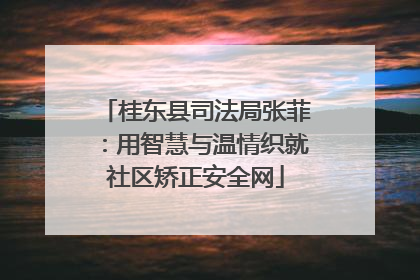 桂东县司法局张菲：用智慧与温情织就社区矫正安全网
