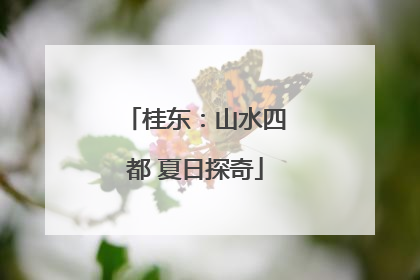 桂东：山水四都 夏日探奇