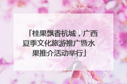 桂果飘香杭城，广西夏季文化旅游推广暨水果推介活动举行