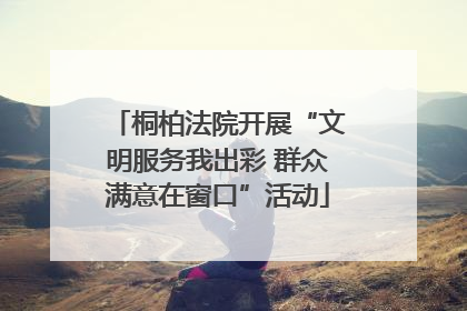 桐柏法院开展“文明服务我出彩 群众满意在窗口”活动
