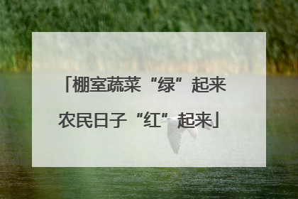 棚室蔬菜“绿”起来 农民日子“红”起来