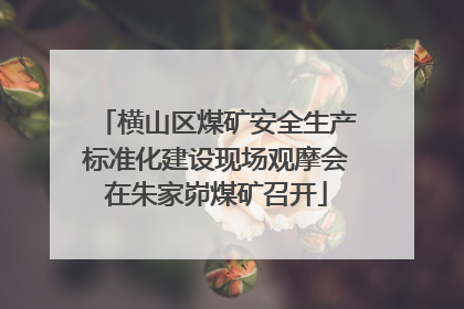 横山区煤矿安全生产标准化建设现场观摩会在朱家峁煤矿召开