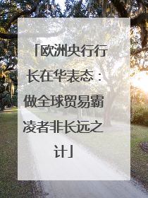 欧洲央行行长在华表态：做全球贸易霸凌者非长远之计