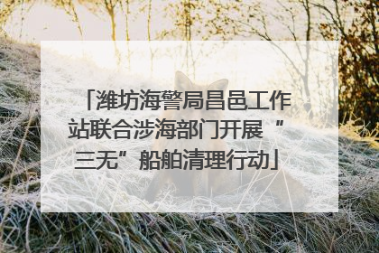 潍坊海警局昌邑工作站联合涉海部门开展“三无”船舶清理行动