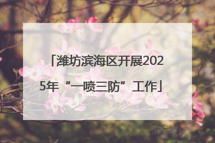 潍坊滨海区开展2025年“一喷三防”工作