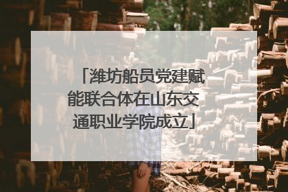 潍坊船员党建赋能联合体在山东交通职业学院成立