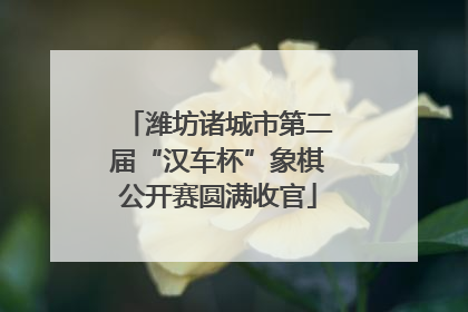 潍坊诸城市第二届“汉车杯”象棋公开赛圆满收官