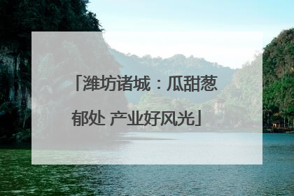 潍坊诸城：瓜甜葱郁处 产业好风光