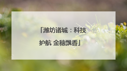 潍坊诸城：科技护航 金穗飘香