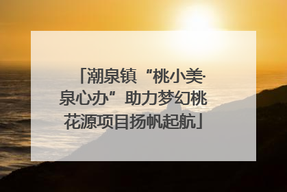 潮泉镇“桃小美·泉心办”助力梦幻桃花源项目扬帆起航