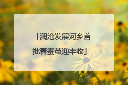 澜沧发展河乡首批春蚕茧迎丰收