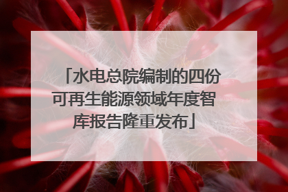 水电总院编制的四份可再生能源领域年度智库报告隆重发布