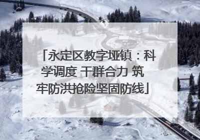 永定区教字垭镇：科学调度 干群合力 筑牢防洪抢险坚固防线