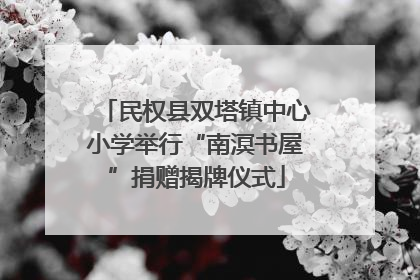 民权县双塔镇中心小学举行“南溟书屋”捐赠揭牌仪式