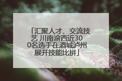 汇聚人才、交流技艺 川南渝西近300名选手在酒城泸州展开技能比拼