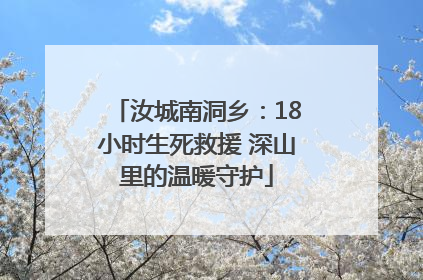 汝城南洞乡：18小时生死救援 深山里的温暖守护