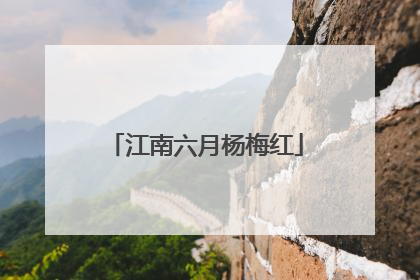 江南六月杨梅红