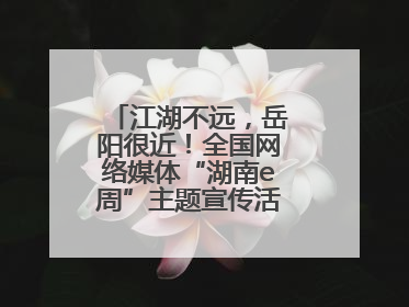 江湖不远，岳阳很近！全国网络媒体“湖南e周”主题宣传活动在岳阳启动