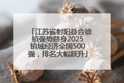 江苏省射阳县合德镇强势跻身2025镇域经济全国500强，排名大幅跃升
