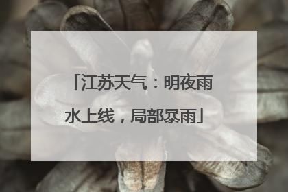 江苏天气：明夜雨水上线，局部暴雨