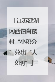江苏建湖冈西镇肖荡村“小积分”兑出“大文明”