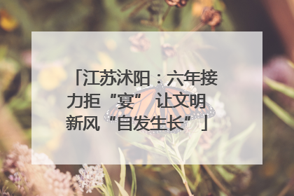 江苏沭阳：六年接力拒“宴” 让文明新风“自发生长”
