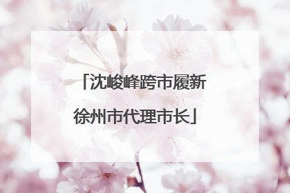 沈峻峰跨市履新徐州市代理市长