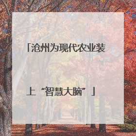 沧州为现代农业装上“智慧大脑”