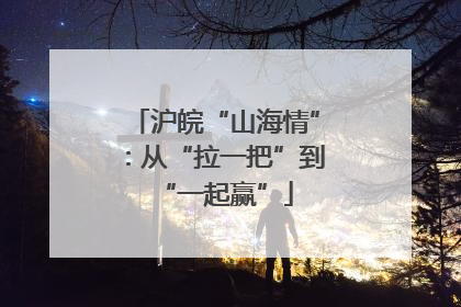 沪皖“山海情”：从“拉一把”到“一起赢”