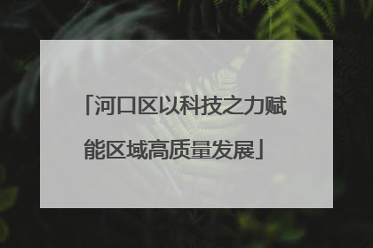 河口区以科技之力赋能区域高质量发展