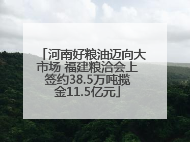河南好粮油迈向大市场 福建粮洽会上签约38.5万吨揽金11.5亿元