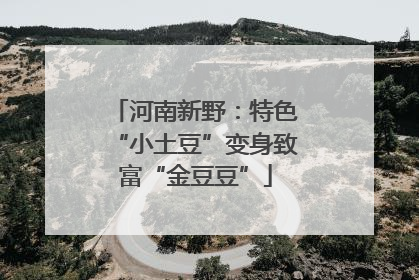 河南新野：特色“小土豆”变身致富“金豆豆”