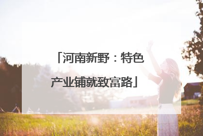 河南新野：特色产业铺就致富路