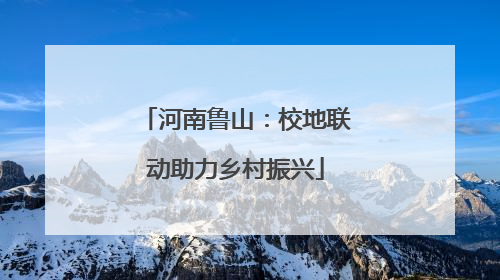 河南鲁山：校地联动助力乡村振兴