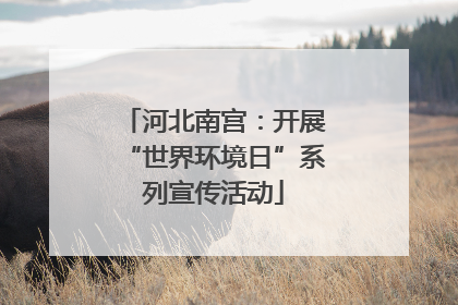 河北南宫：开展“世界环境日”系列宣传活动