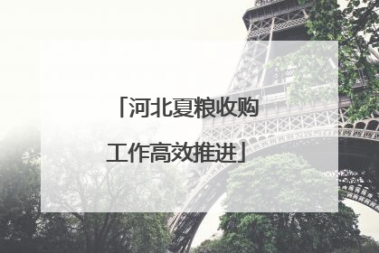 河北夏粮收购工作高效推进