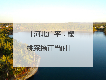 河北广平：樱桃采摘正当时