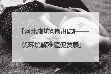 河北廊坊创新机制——优环境解难题促发展