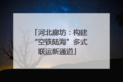 河北廊坊：构建“空铁陆海”多式联运新通道