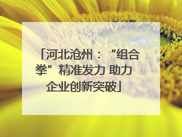 河北沧州：“组合拳”精准发力 助力企业创新突破
